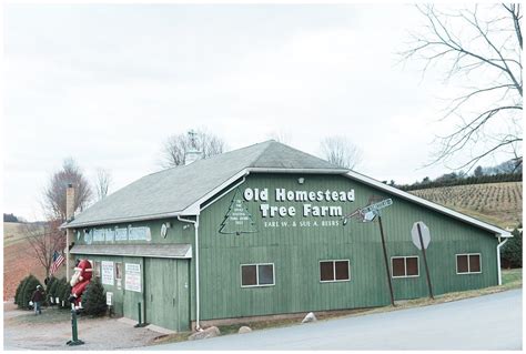 old homestead tree farm